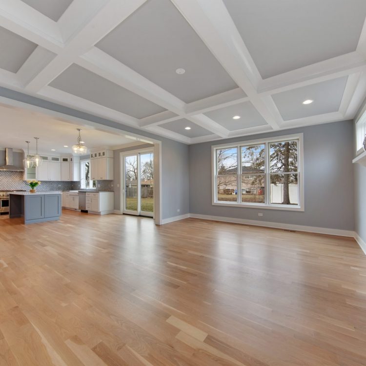 Sherman Street Project - Family Room - Custom Home by Ryan James Homes