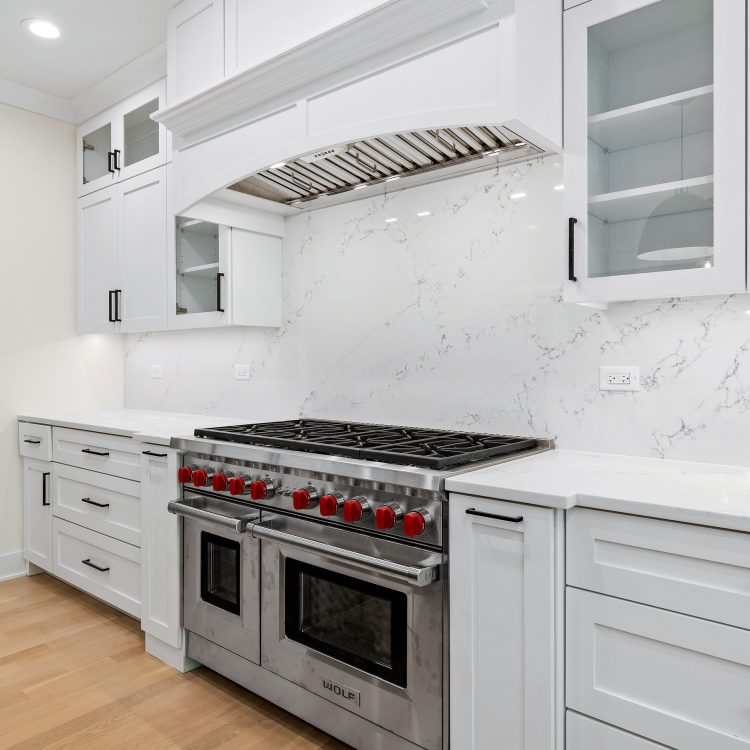 Copy of pdetphotography-ryanjameshomes-5255carpenter-downersgrove-10_18_2021 (25)