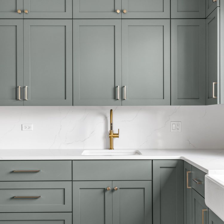 pdetphotography-ryanjameshomes-408sherman-downersgrove-5_17_2023 (14)