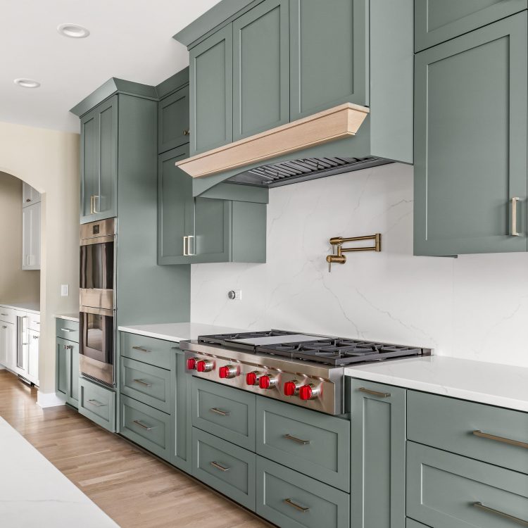 pdetphotography-ryanjameshomes-408sherman-downersgrove-5_17_2023 (15)