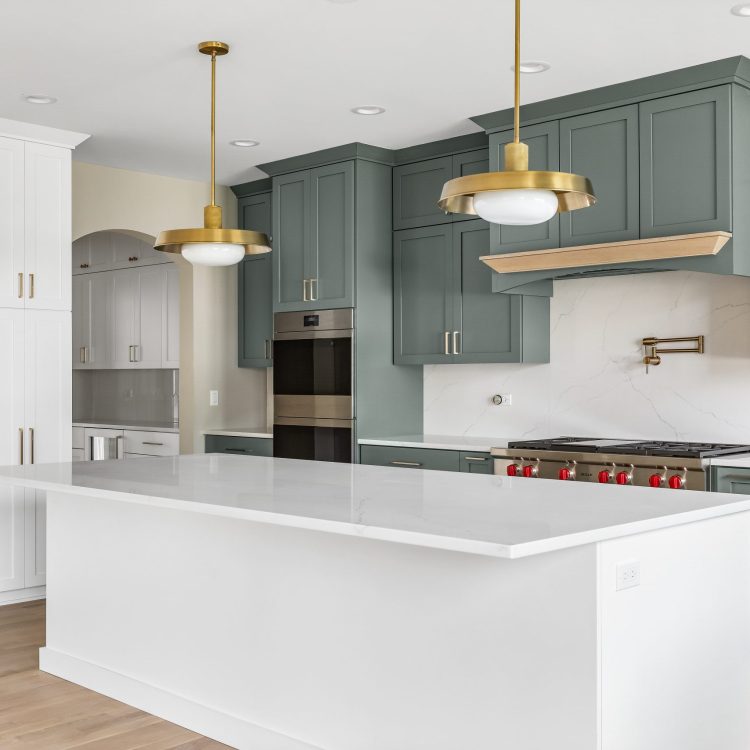 pdetphotography-ryanjameshomes-408sherman-downersgrove-5_17_2023 (16)