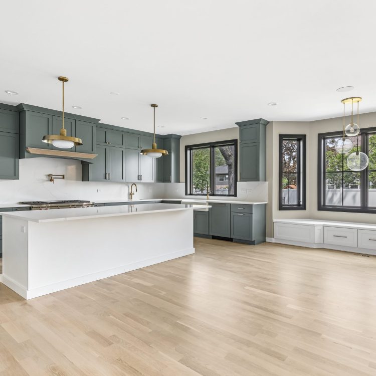 pdetphotography-ryanjameshomes-408sherman-downersgrove-5_17_2023 (17)