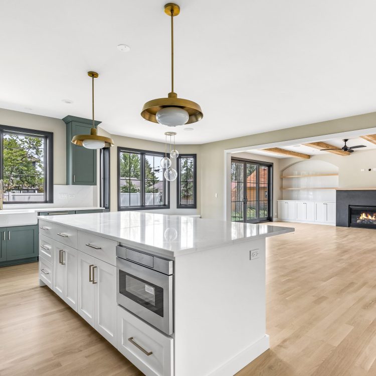 pdetphotography-ryanjameshomes-408sherman-downersgrove-5_17_2023 (18)