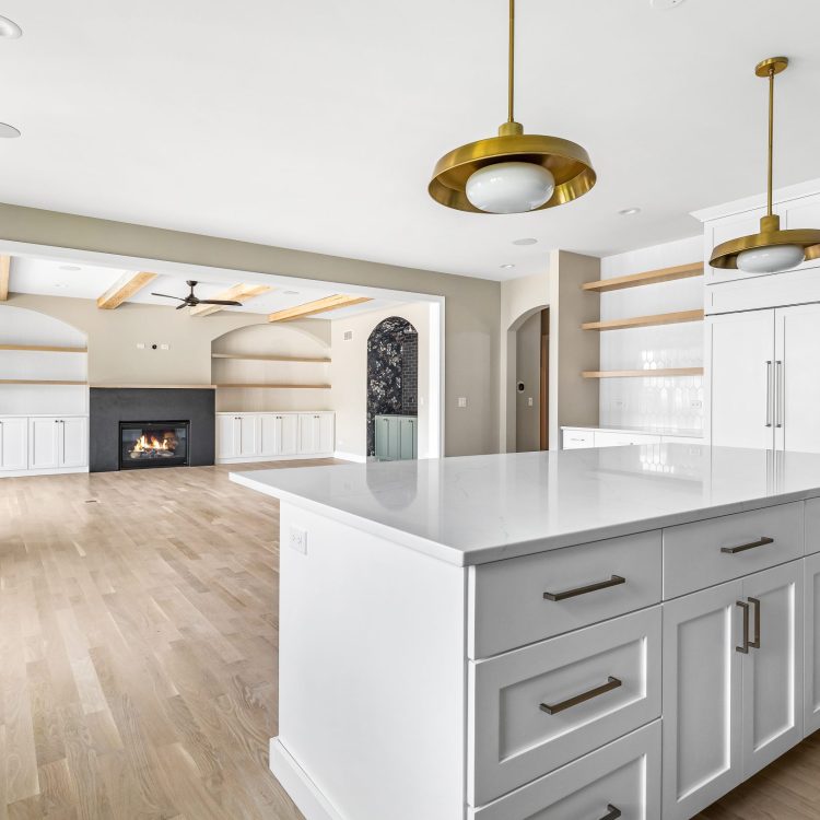 pdetphotography-ryanjameshomes-408sherman-downersgrove-5_17_2023 (19)