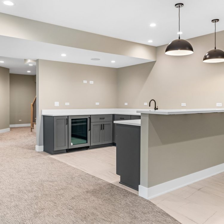 pdetphotography-ryanjameshomes-408sherman-downersgrove-5_17_2023 (4)